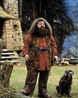 Not Harry Potter's only caregiver, by far, but a character moved only by the needs of others (and especially animals), Hagrid is altruistic to a fault, adopting deadly animals and indulging the dangerous behavior of our three main protagonists. His nature ends up getting him in big trouble with the school when he underestimates Draco Malfoy's intentions, and he nearly loses all he has worked hard to achieve because of it.
