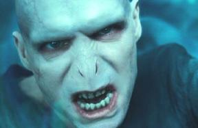 Ah, Voldemort, seeking to cleanse the impurities from magician bloodlines--corrupted wholly the moment he seizes any sort of power, and unable to be stopped until he nearly destroys the whole of the wizarding world. He is an excellent example of "absolute power absolutely corrupts."